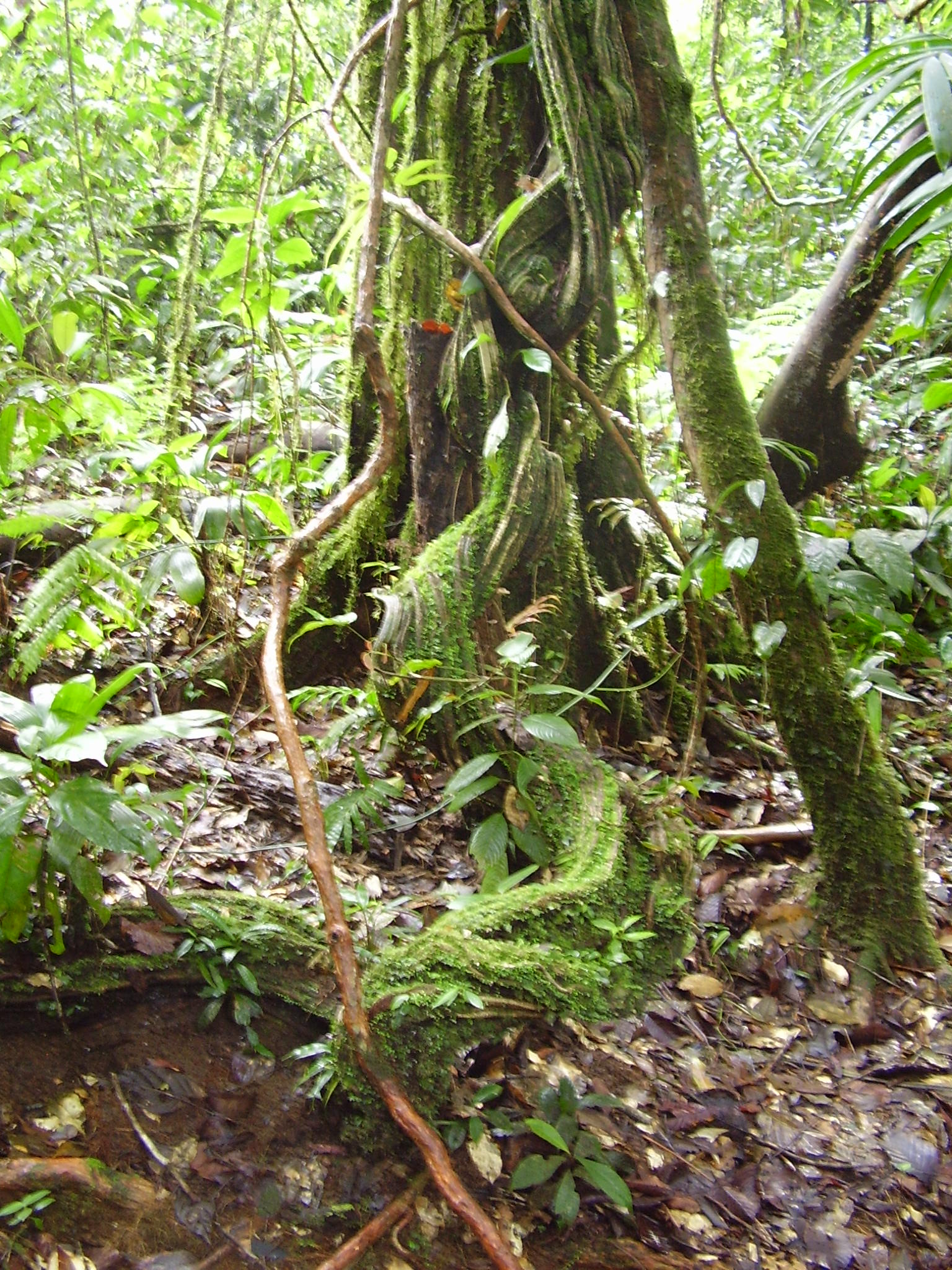 P1010306.JPG