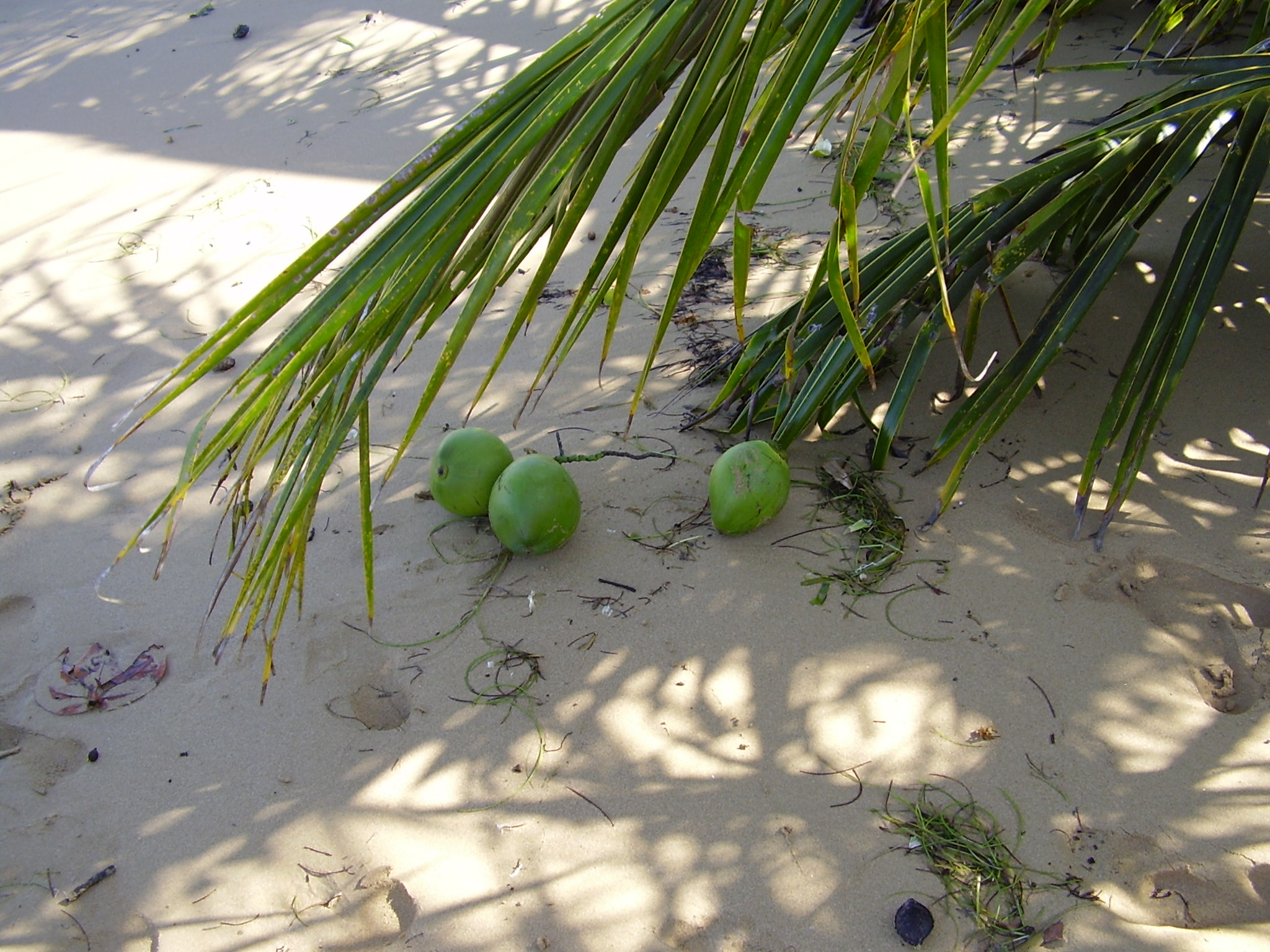 P1010545.JPG